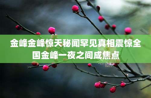 金峰金峰惊天秘闻罕见真相震惊全国金峰一夜之间成焦点