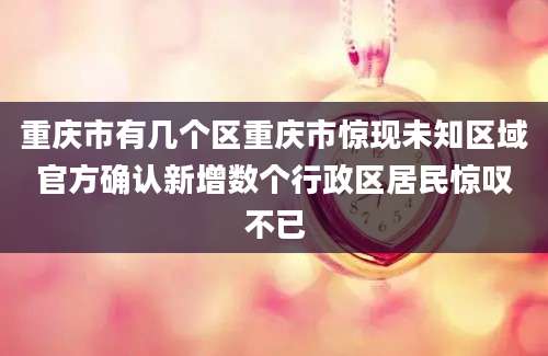重庆市有几个区重庆市惊现未知区域官方确认新增数个行政区居民惊叹不已