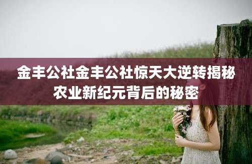 金丰公社金丰公社惊天大逆转揭秘农业新纪元背后的秘密