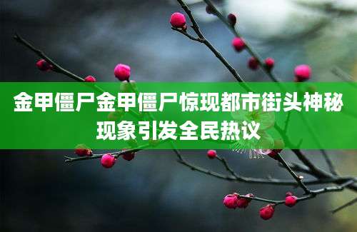 金甲僵尸金甲僵尸惊现都市街头神秘现象引发全民热议