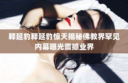 释延豹释延豹惊天揭秘佛教界罕见内幕曝光震撼业界