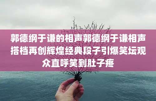 郭德纲于谦的相声郭德纲于谦相声搭档再创辉煌经典段子引爆笑坛观众直呼笑到肚子疼