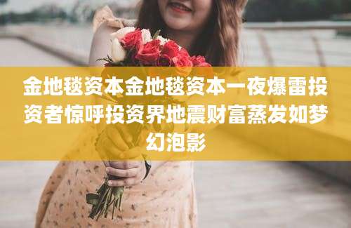 金地毯资本金地毯资本一夜爆雷投资者惊呼投资界地震财富蒸发如梦幻泡影