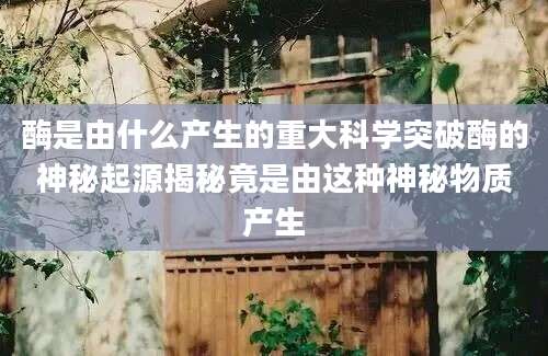 酶是由什么产生的重大科学突破酶的神秘起源揭秘竟是由这种神秘物质产生
