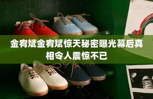 金宥斌金宥斌惊天秘密曝光幕后真相令人震惊不已