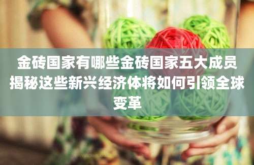 金砖国家有哪些金砖国家五大成员揭秘这些新兴经济体将如何引领全球变革