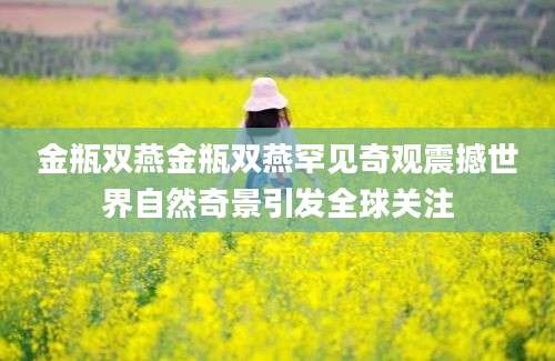 金瓶双燕金瓶双燕罕见奇观震撼世界自然奇景引发全球关注