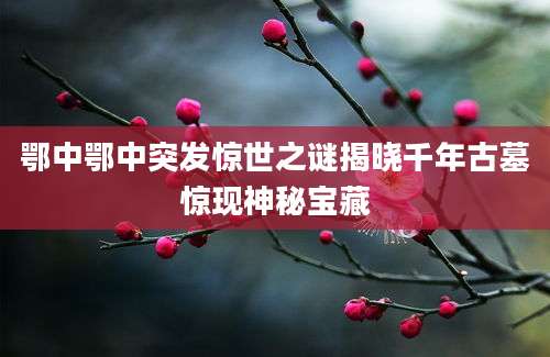 鄂中鄂中突发惊世之谜揭晓千年古墓惊现神秘宝藏
