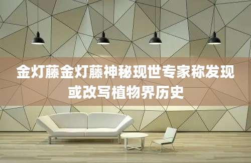 金灯藤金灯藤神秘现世专家称发现或改写植物界历史