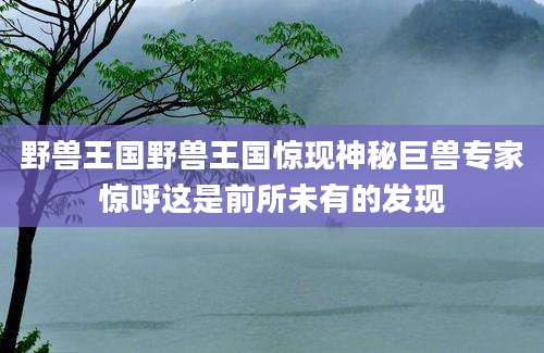 野兽王国野兽王国惊现神秘巨兽专家惊呼这是前所未有的发现