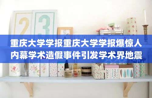 重庆大学学报重庆大学学报爆惊人内幕学术造假事件引发学术界地震