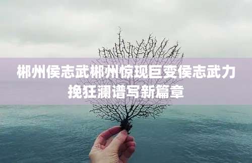 郴州侯志武郴州惊现巨变侯志武力挽狂澜谱写新篇章