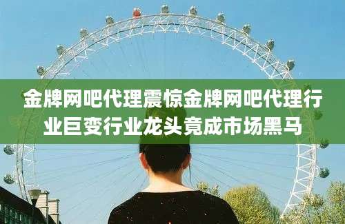 金牌网吧代理震惊金牌网吧代理行业巨变行业龙头竟成市场黑马
