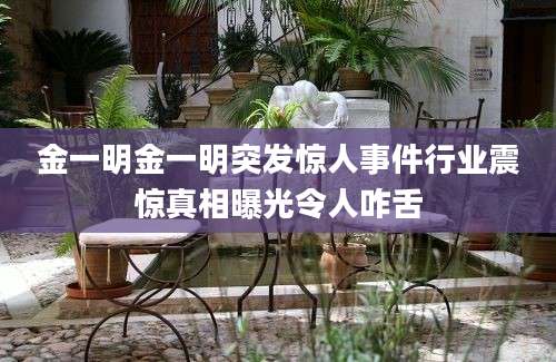金一明金一明突发惊人事件行业震惊真相曝光令人咋舌