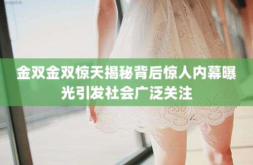 金双金双惊天揭秘背后惊人内幕曝光引发社会广泛关注