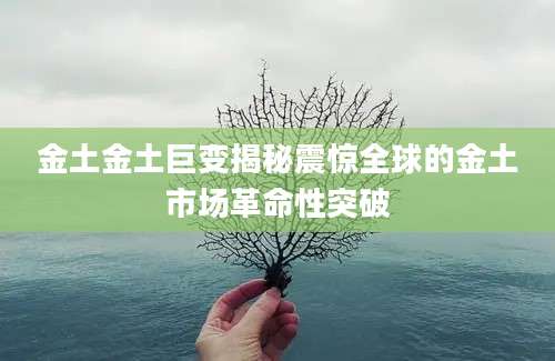 金土金土巨变揭秘震惊全球的金土市场革命性突破