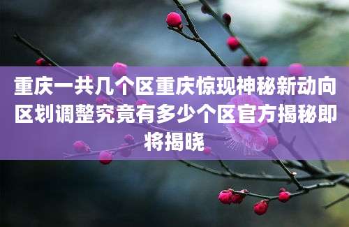 重庆一共几个区重庆惊现神秘新动向区划调整究竟有多少个区官方揭秘即将揭晓