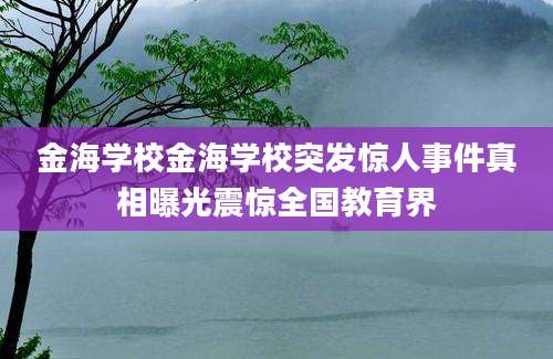 金海学校金海学校突发惊人事件真相曝光震惊全国教育界