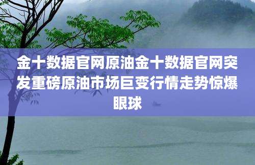 金十数据官网原油金十数据官网突发重磅原油市场巨变行情走势惊爆眼球