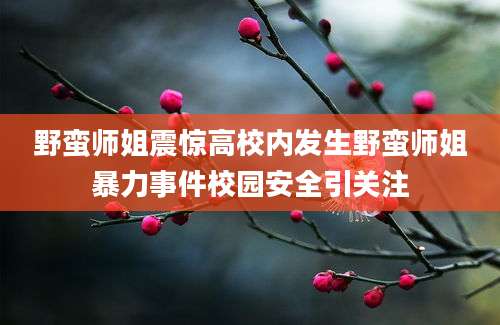 野蛮师姐震惊高校内发生野蛮师姐暴力事件校园安全引关注