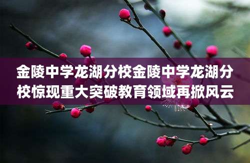 金陵中学龙湖分校金陵中学龙湖分校惊现重大突破教育领域再掀风云