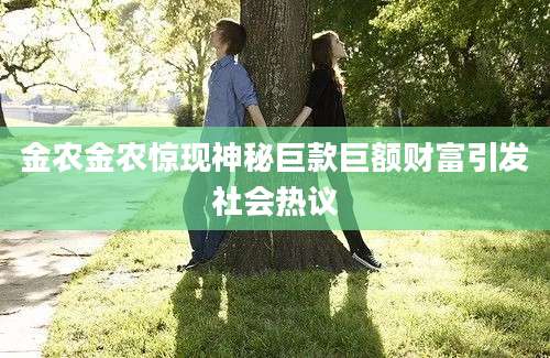 金农金农惊现神秘巨款巨额财富引发社会热议