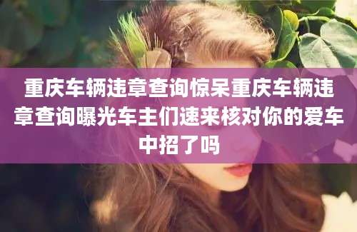 重庆车辆违章查询惊呆重庆车辆违章查询曝光车主们速来核对你的爱车中招了吗