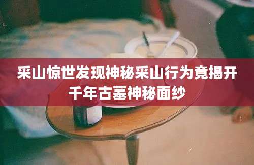 采山惊世发现神秘采山行为竟揭开千年古墓神秘面纱