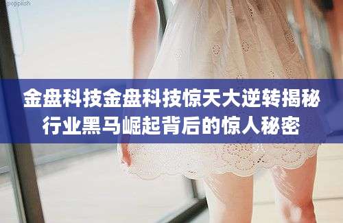 金盘科技金盘科技惊天大逆转揭秘行业黑马崛起背后的惊人秘密