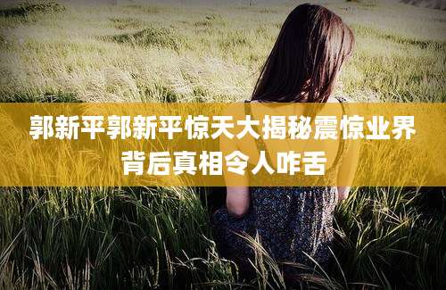 郭新平郭新平惊天大揭秘震惊业界背后真相令人咋舌