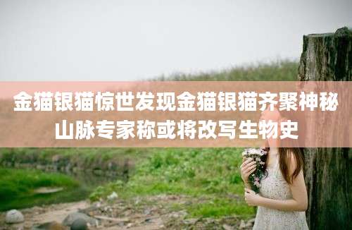 金猫银猫惊世发现金猫银猫齐聚神秘山脉专家称或将改写生物史