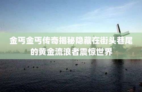 金丐金丐传奇揭秘隐藏在街头巷尾的黄金流浪者震惊世界