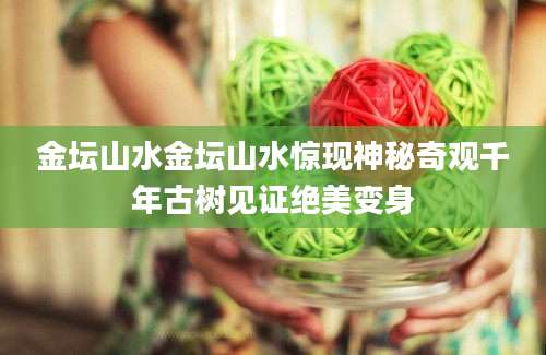 金坛山水金坛山水惊现神秘奇观千年古树见证绝美变身