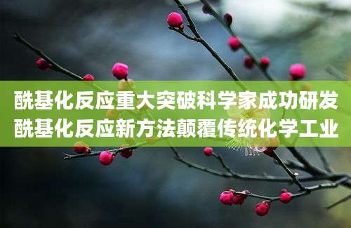 酰基化反应重大突破科学家成功研发酰基化反应新方法颠覆传统化学工业