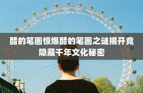 醋的笔画惊爆醋的笔画之谜揭开竟隐藏千年文化秘密