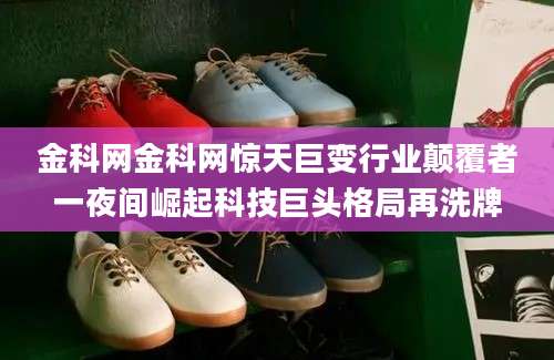 金科网金科网惊天巨变行业颠覆者一夜间崛起科技巨头格局再洗牌