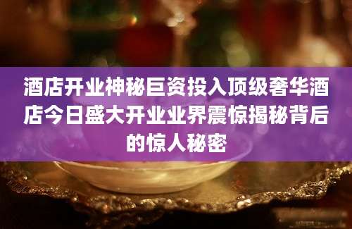 酒店开业神秘巨资投入顶级奢华酒店今日盛大开业业界震惊揭秘背后的惊人秘密