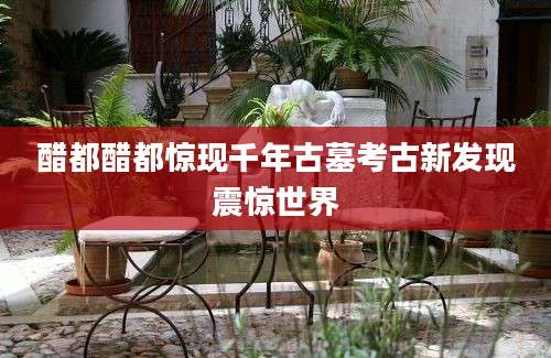醋都醋都惊现千年古墓考古新发现震惊世界