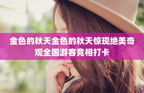 金色的秋天金色的秋天惊现绝美奇观全国游客竞相打卡