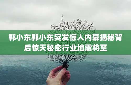 郭小东郭小东突发惊人内幕揭秘背后惊天秘密行业地震将至