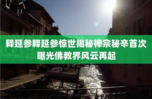 释延参释延参惊世揭秘禅宗秘辛首次曝光佛教界风云再起