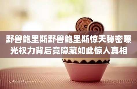野兽鲍里斯野兽鲍里斯惊天秘密曝光权力背后竟隐藏如此惊人真相