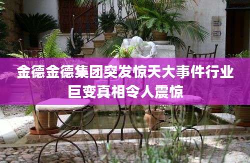 金德金德集团突发惊天大事件行业巨变真相令人震惊
