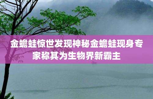 金蟾蛙惊世发现神秘金蟾蛙现身专家称其为生物界新霸主