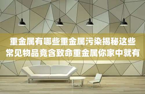 重金属有哪些重金属污染揭秘这些常见物品竟含致命重金属你家中就有