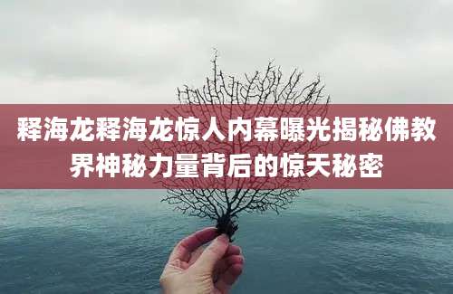 释海龙释海龙惊人内幕曝光揭秘佛教界神秘力量背后的惊天秘密