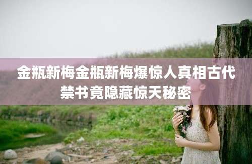 金瓶新梅金瓶新梅爆惊人真相古代禁书竟隐藏惊天秘密