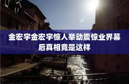 金宏宇金宏宇惊人举动震惊业界幕后真相竟是这样