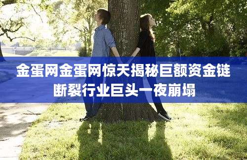 金蛋网金蛋网惊天揭秘巨额资金链断裂行业巨头一夜崩塌