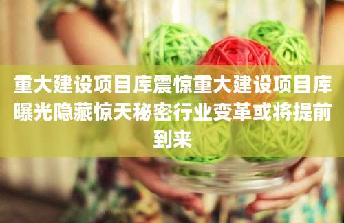 重大建设项目库震惊重大建设项目库曝光隐藏惊天秘密行业变革或将提前到来